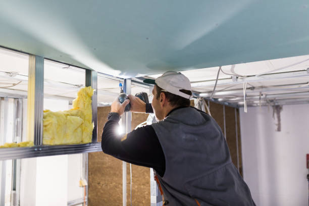 Best Residential Insulation in Hebron, MD